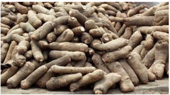 About MJRG Foods & Products Distribution Ltd